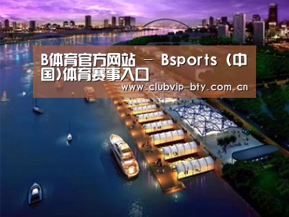 案例展示八